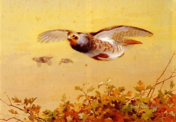  bird Oil Painting - English Partridge In Flight Archibald Thorburn bird